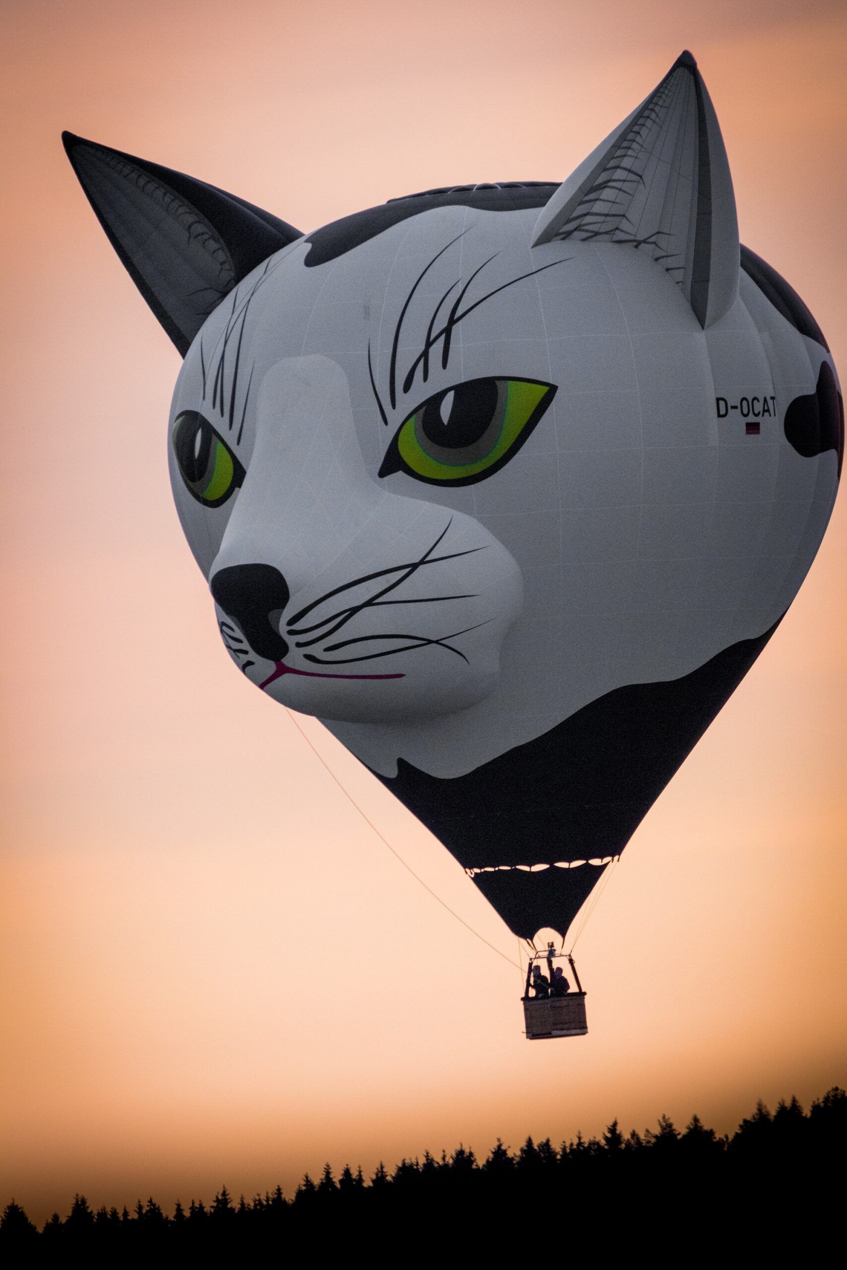 El arte de viajar con el viento en un globo aerostático