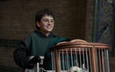 Vuelve la magia: la nueva serie de Harry Potter en HBO promete hechizar al mundo