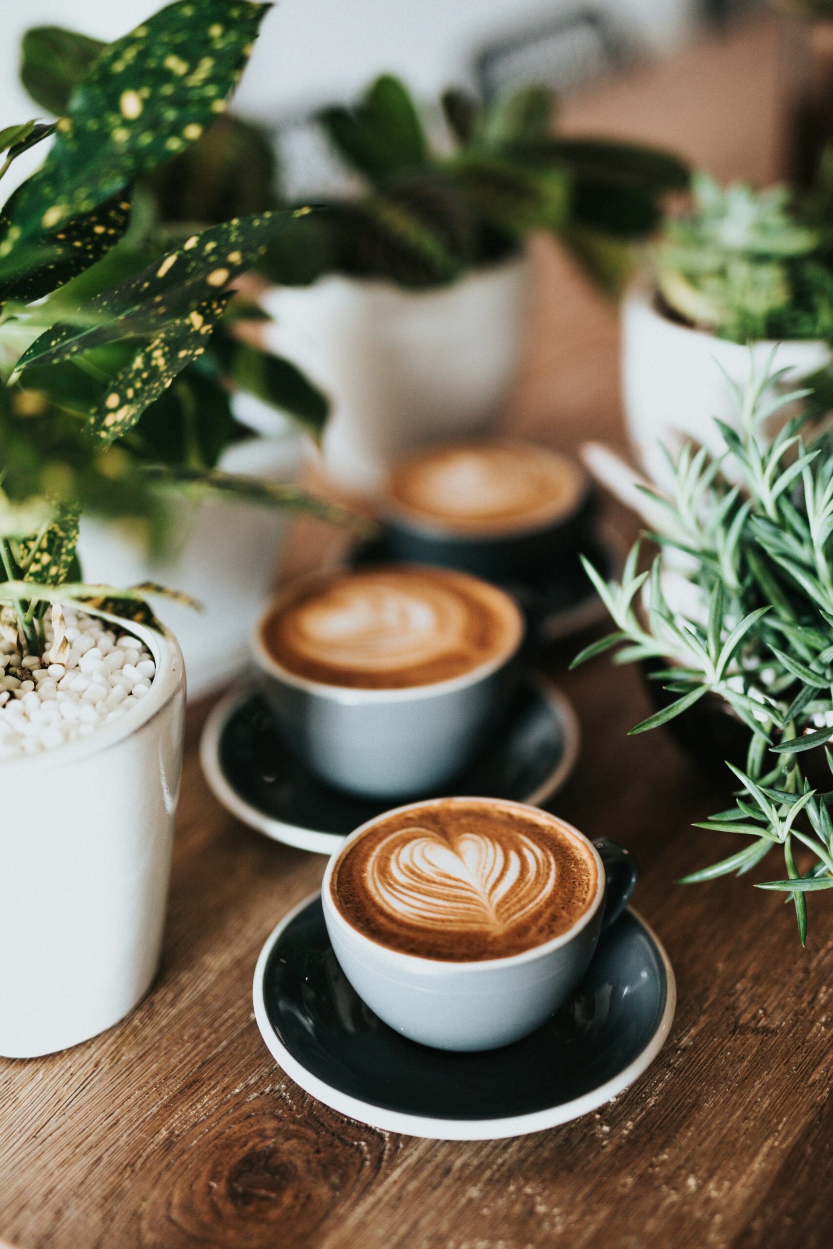 Café y salud mental