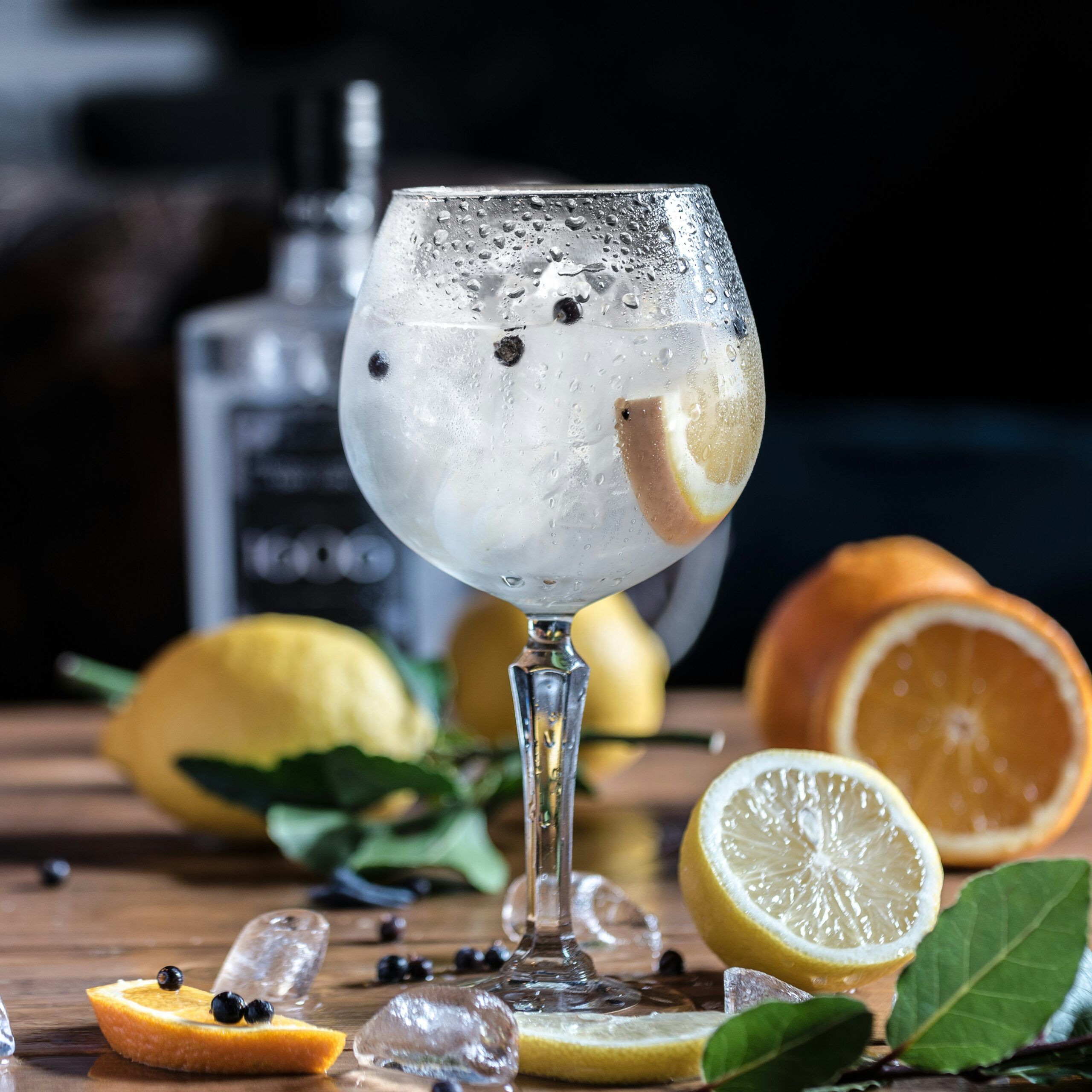 Gin Tonic Frutal