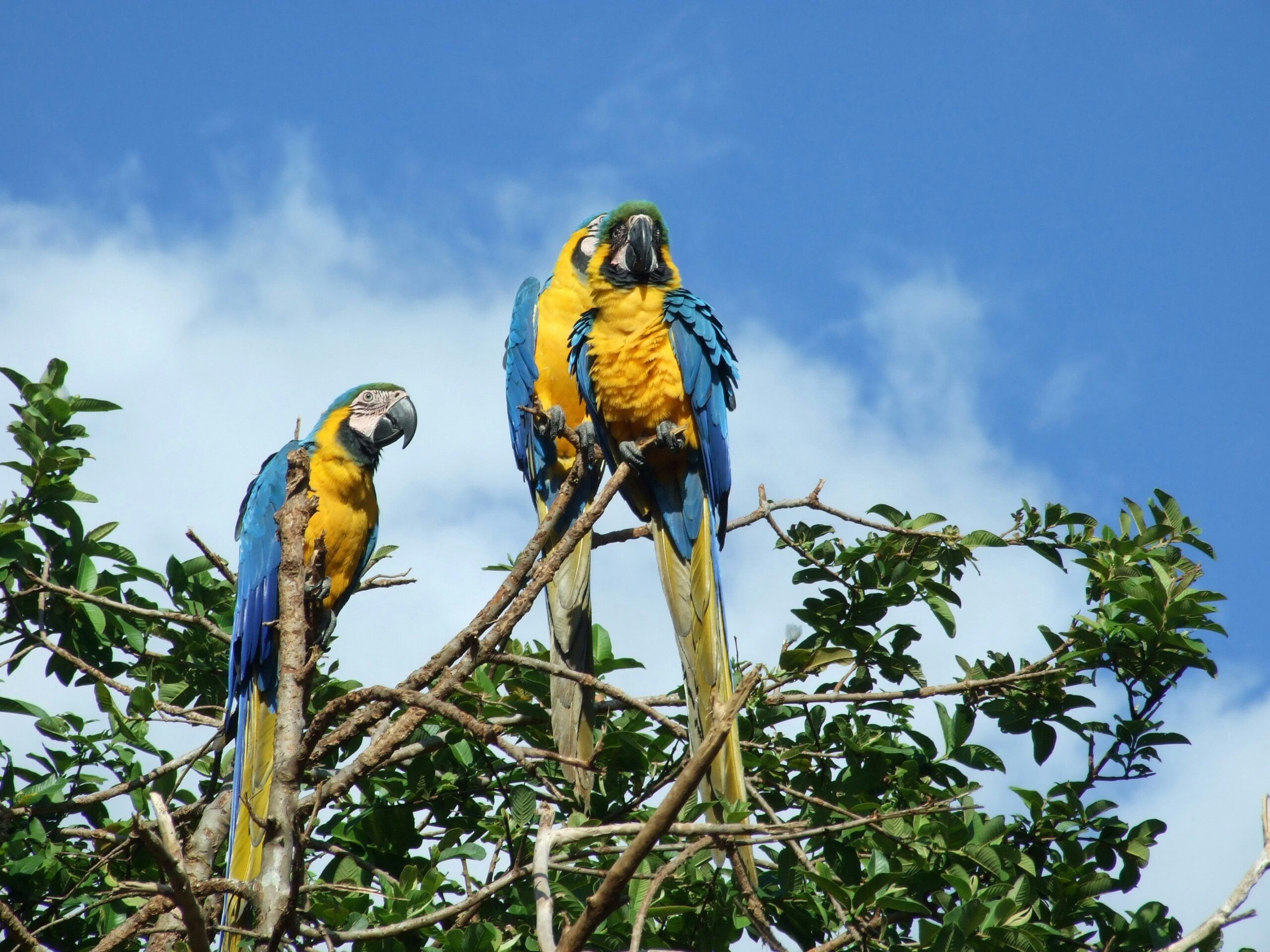Lugares en Venezuela que te harán volver